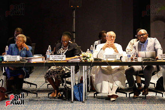اجتماعات اللجنة الأفريقية (6)