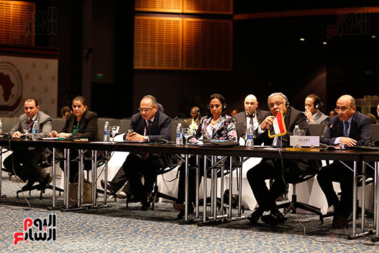 اجتماعات اللجنة الأفريقية (10)