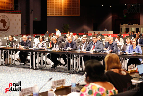 اجتماعات اللجنة الأفريقية (15)