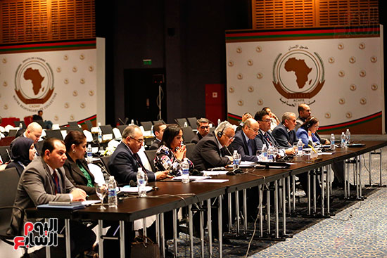 اجتماعات اللجنة الأفريقية (20)