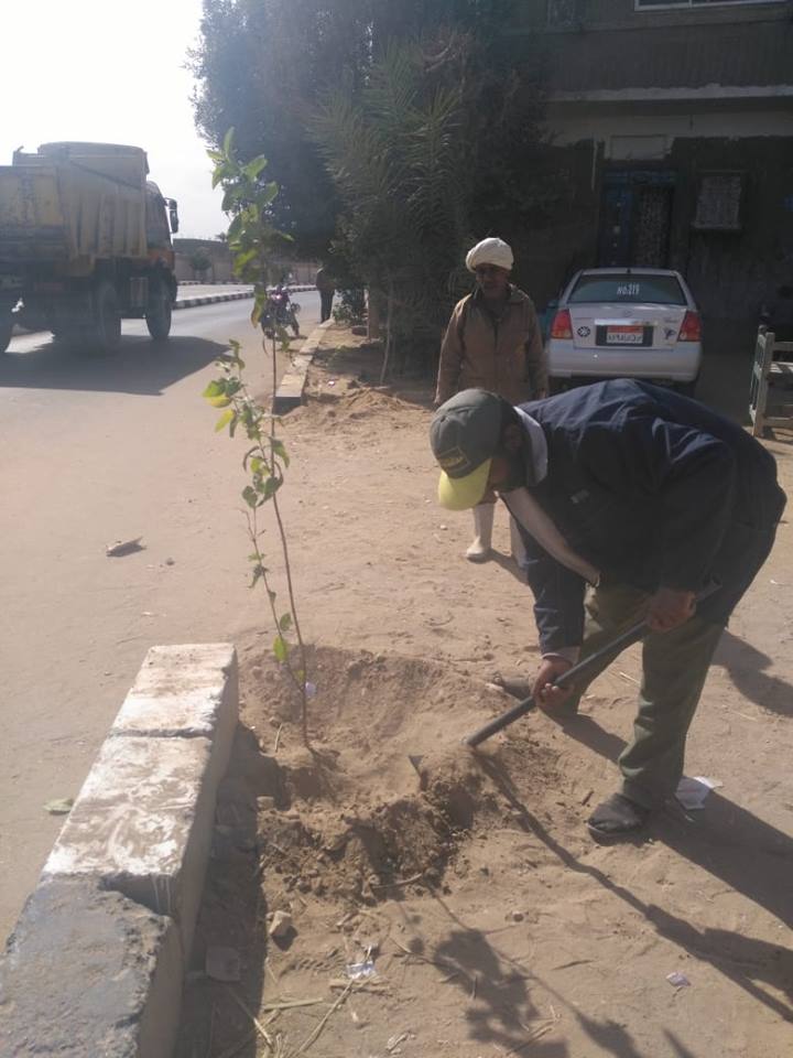 تعرف علي تفاصيل إطلاق مبادرة زراعة مليون شجرة مثمرة بشوارع وميادين الأقصر (2)