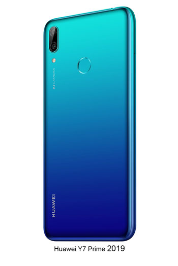 Y-Series 2019 (2)