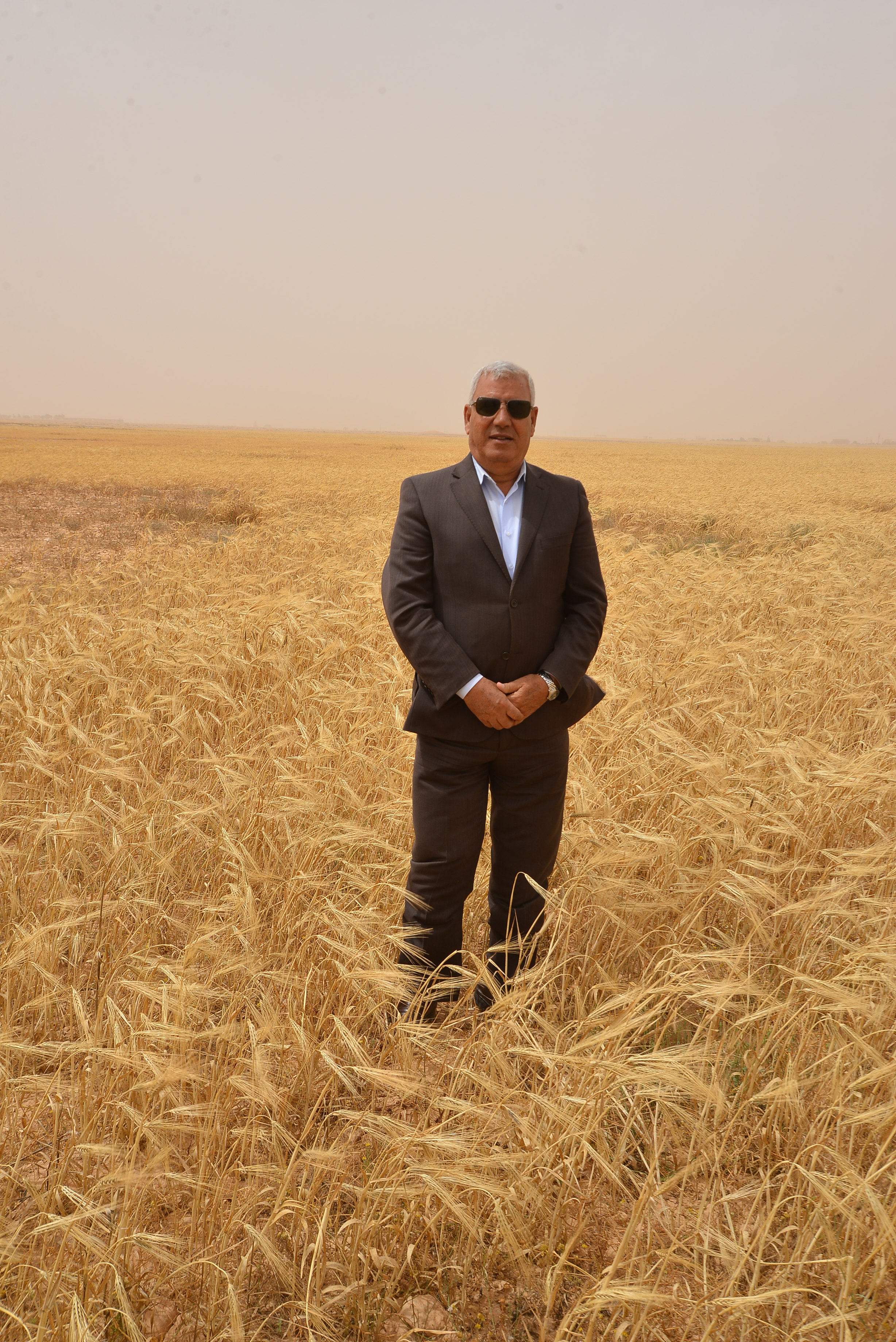 محافظ مطروح يتفقد أعمال حصاد القمح والشعير (2)