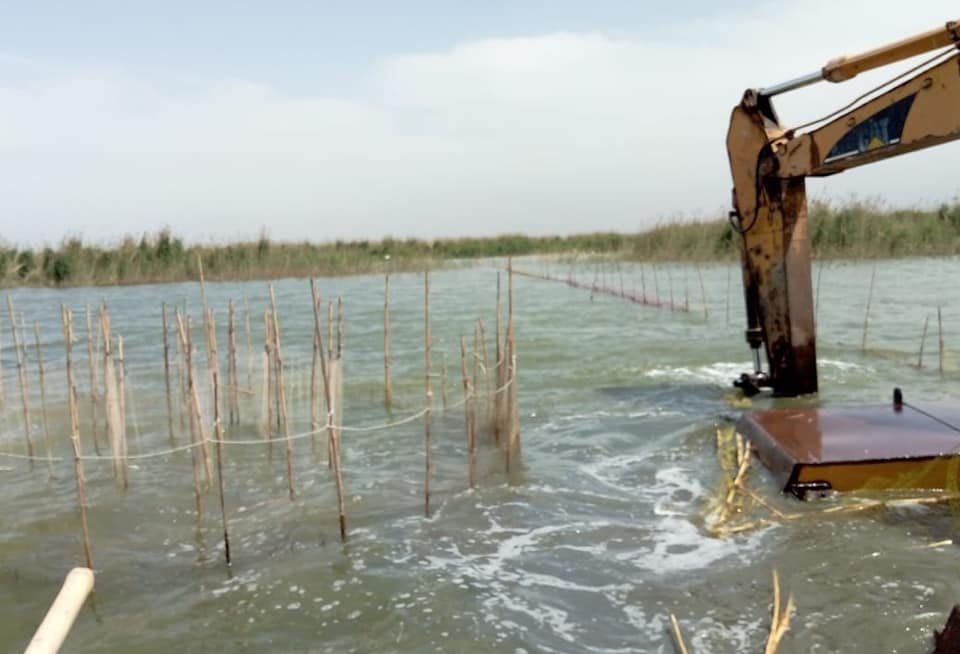 ضبط 146 ألف وحدة زريعة أسماك حية وإزالة التعديات على بحيرة البرلس (7)