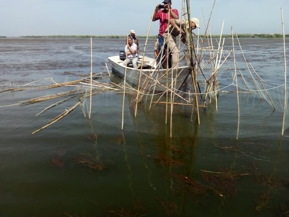ضبط 146 ألف وحدة زريعة أسماك حية وإزالة التعديات على بحيرة البرلس (1)