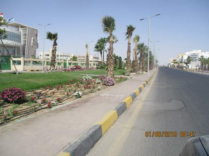 زراعة طريق عبد المنعم رياض بالنباتات بالغردقة (5)