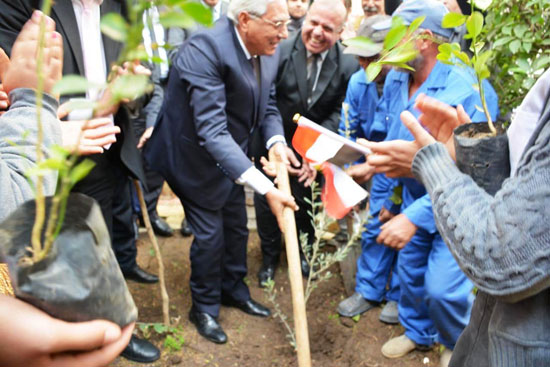 مبادرة أطلقها الرئيس لزيادة أشجار الثمار (7)
