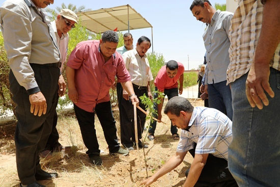 مبادرة أطلقها الرئيس لزيادة أشجار الثمار (1)