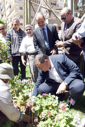 مبادرة أطلقها الرئيس لزيادة أشجار الثمار (13)
