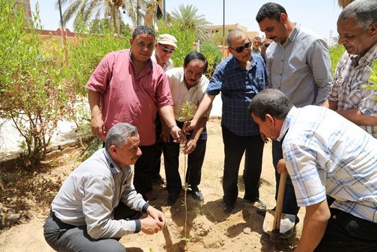 مبادرة أطلقها الرئيس لزيادة أشجار الثمار (2)