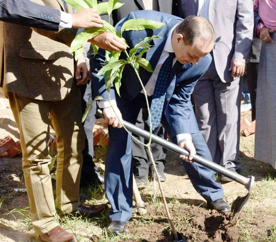 مبادرة أطلقها الرئيس لزيادة أشجار الثمار (5)