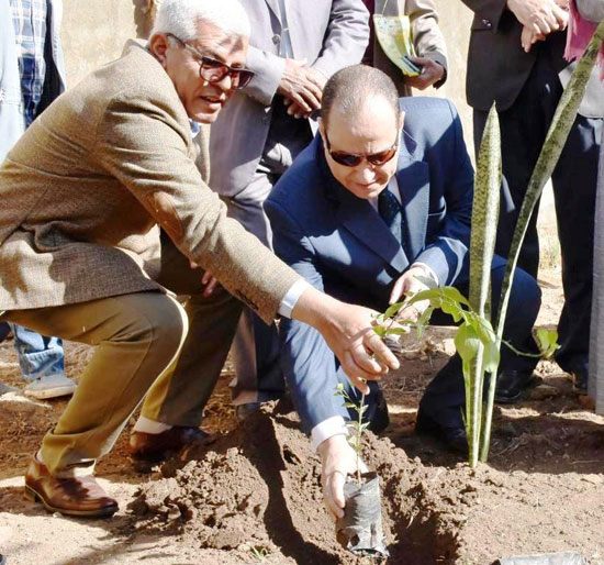 مبادرة أطلقها الرئيس لزيادة أشجار الثمار (6)