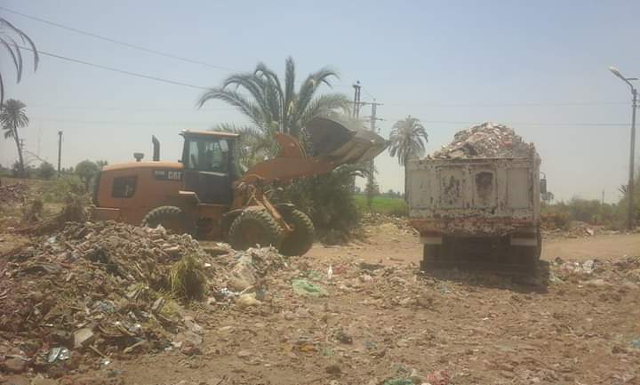رفع القمامة من شوارع بنى سويف (5)