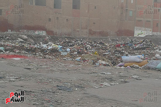 انتشار القمامة بشوارع المحلة (3)