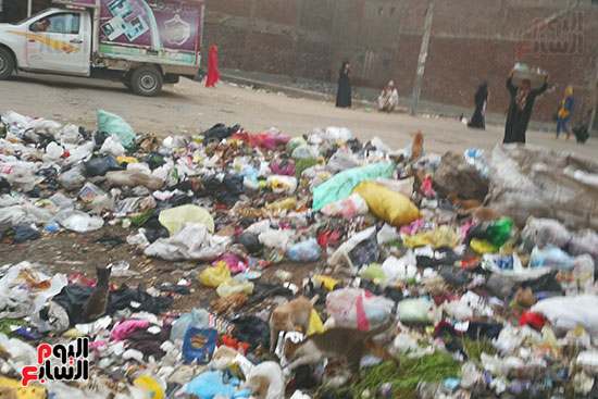 انتشار القمامة بشوارع المحلة (2)