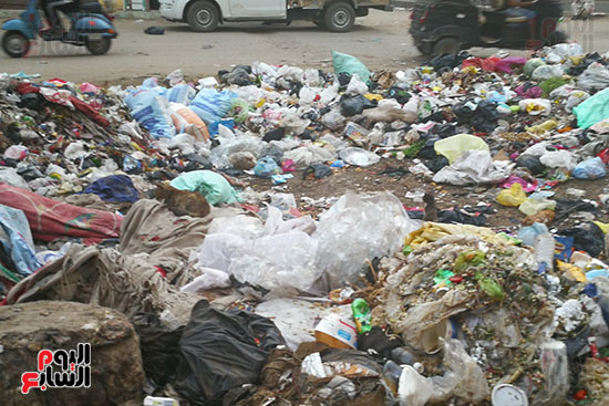 انتشار القمامة بشوارع المحلة (1)