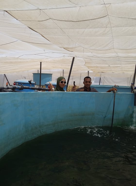 مزارع أسماك الوادى الجديد الحكومية تطرح باكورة انتاجها بأسعار مخفضة (4)
