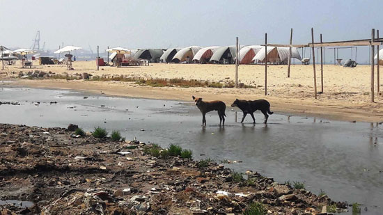 أضبط مخالفة  كارثة  مياه المجارى تصب فى شاطئ بور فؤاد (1)