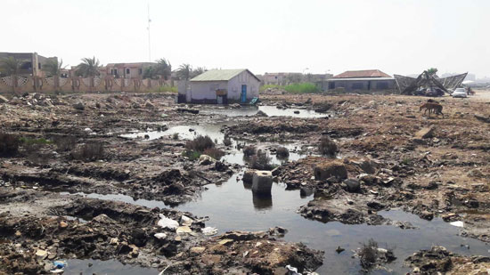 أضبط مخالفة  كارثة  مياه المجارى تصب فى شاطئ بور فؤاد (5)