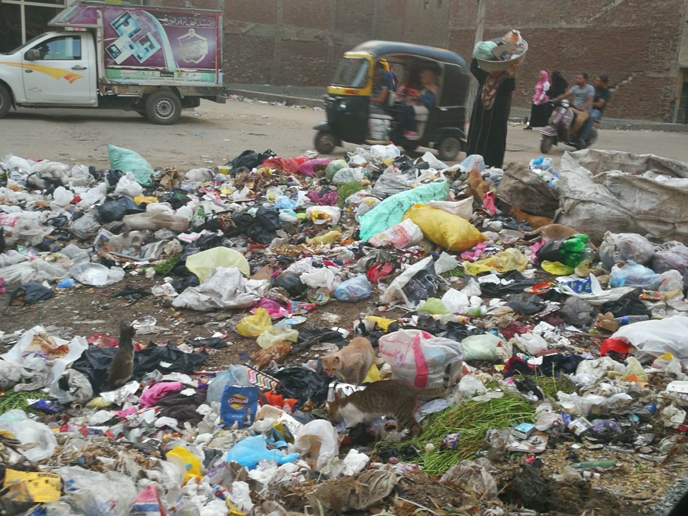 انتشار القمامة بشوارع المحلة (6)