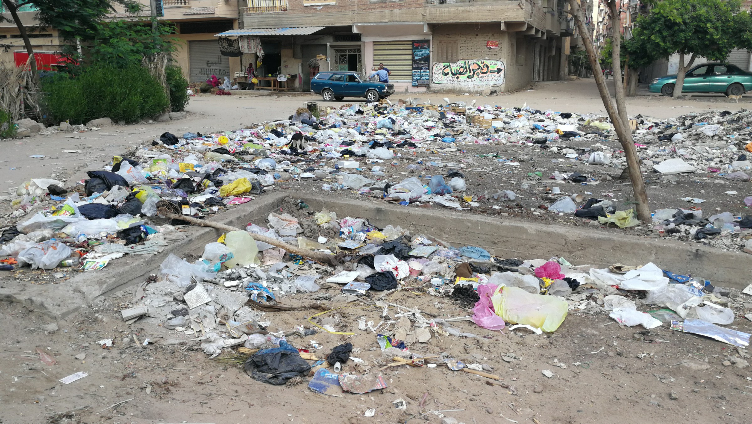 انتشار القمامة بشوارع المحلة (10)