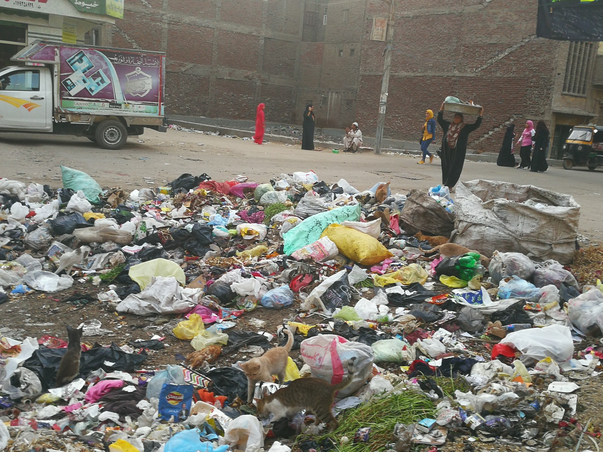 انتشار القمامة بشوارع المحلة (4)