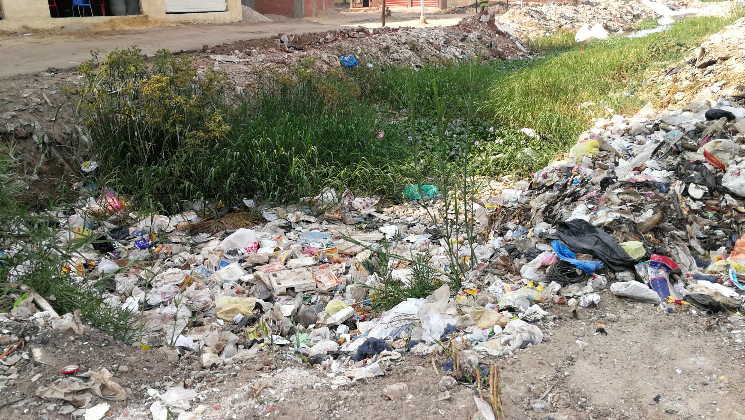 انتشار القمامة بشوارع المحلة (9)