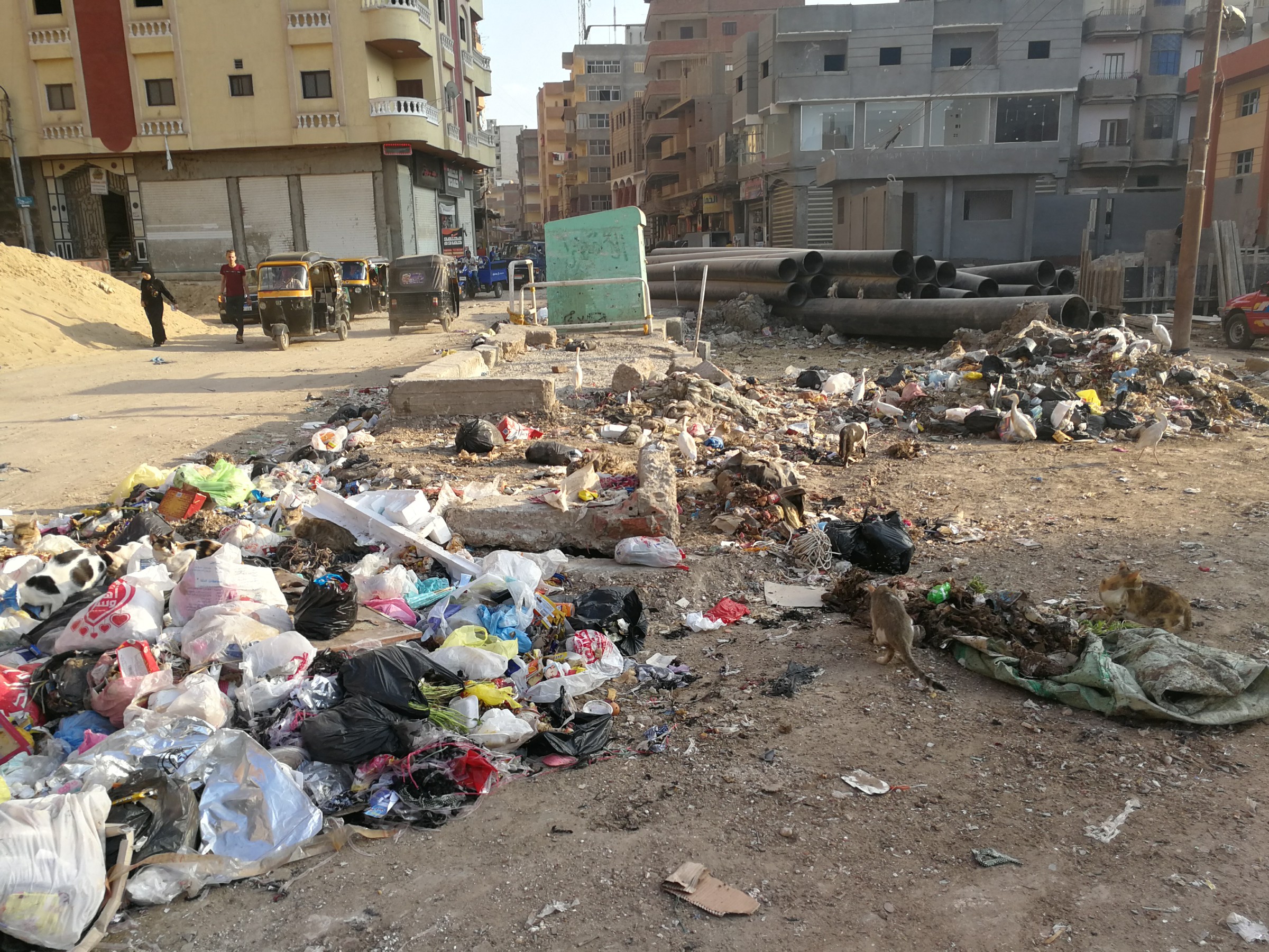 انتشار القمامة بشوارع المحلة (12)