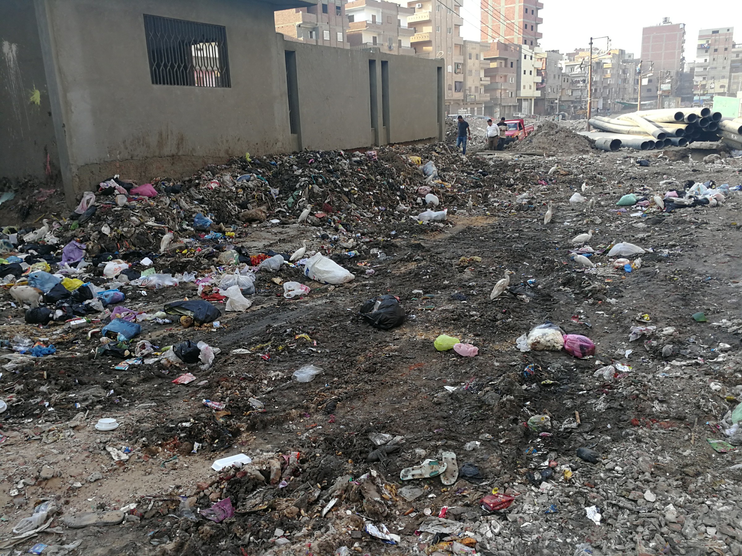 انتشار القمامة بشوارع المحلة (11)