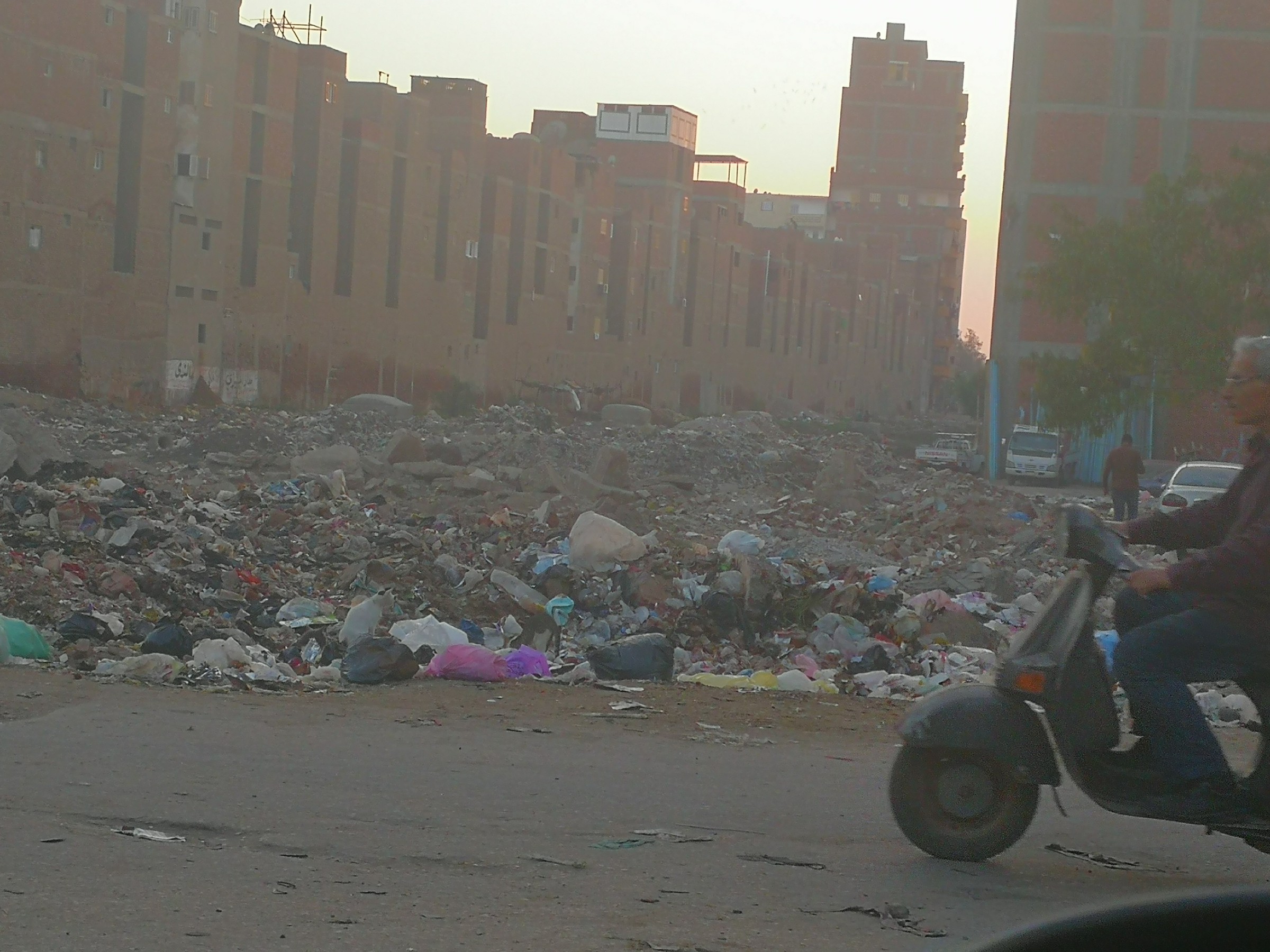 انتشار القمامة بشوارع المحلة (8)