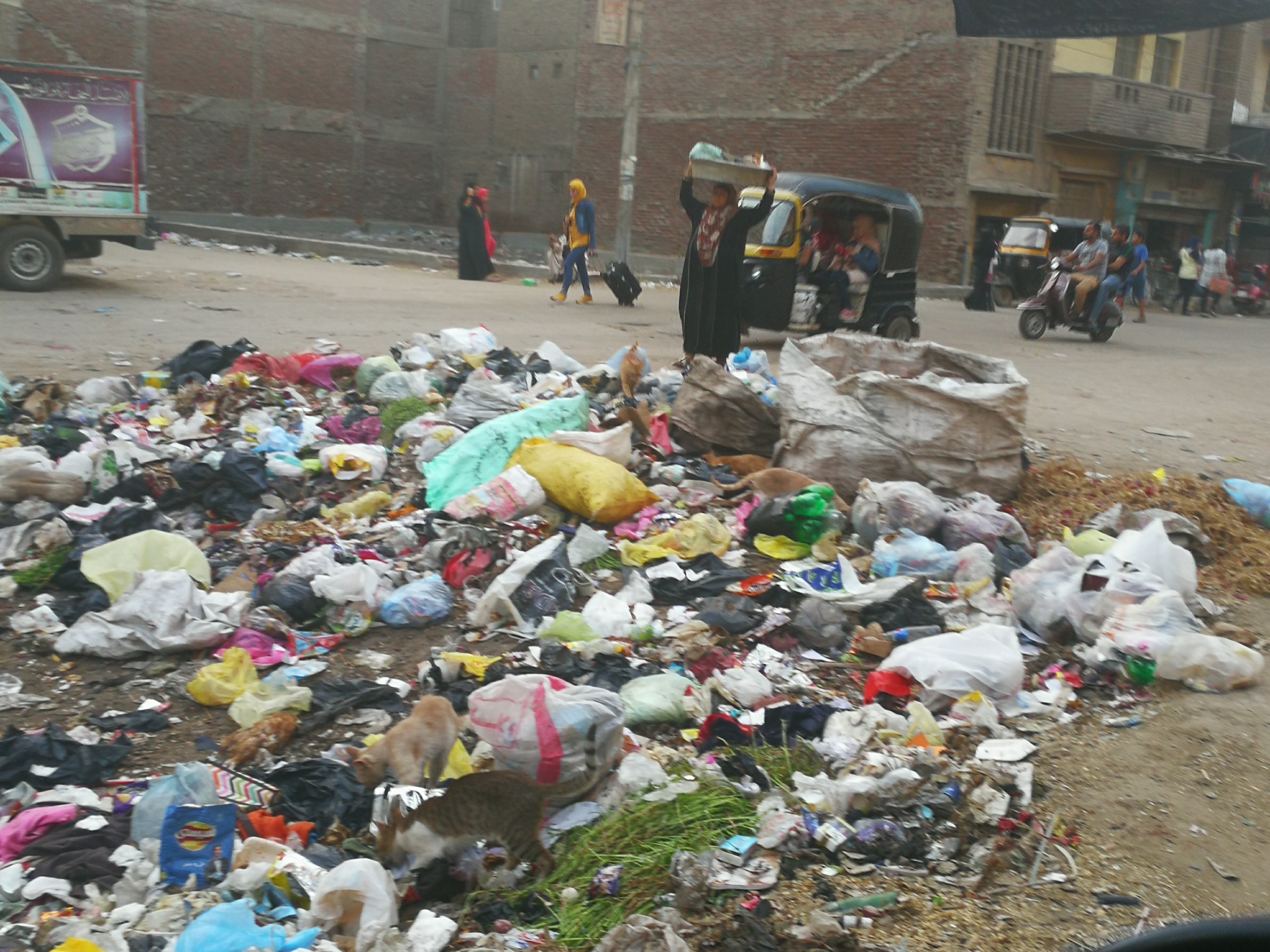 انتشار القمامة بشوارع المحلة (5)