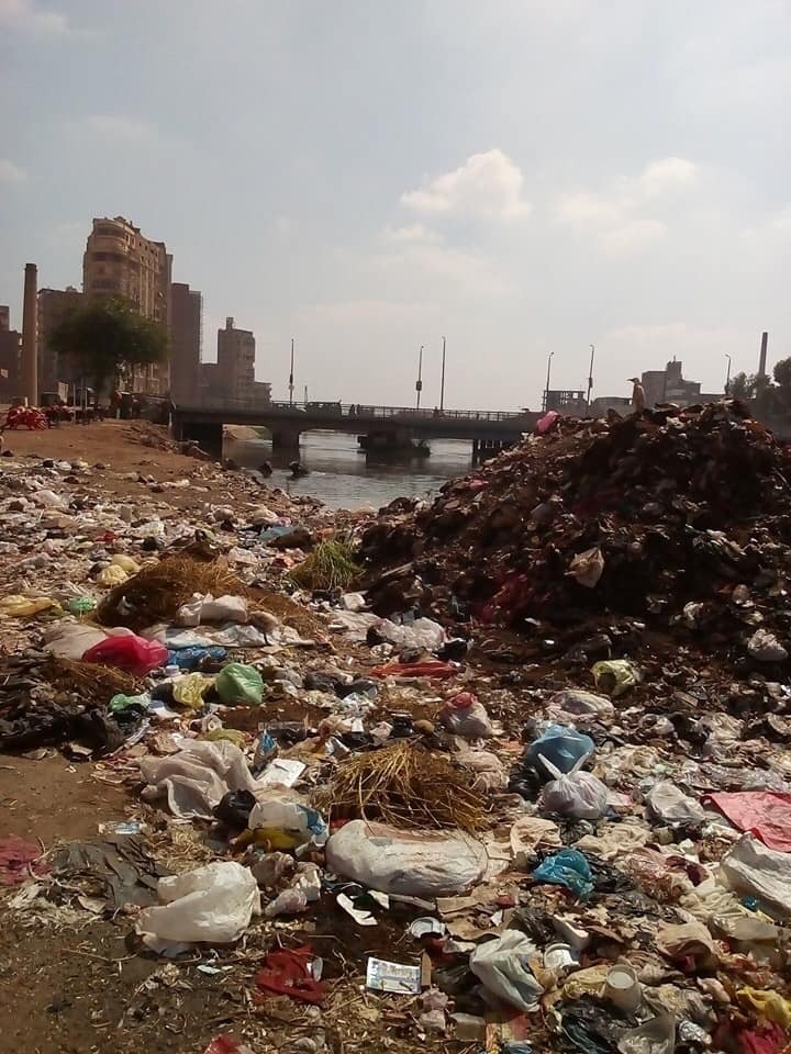 تلال القمامة بشوارع المحلة وعلى الترع (8)