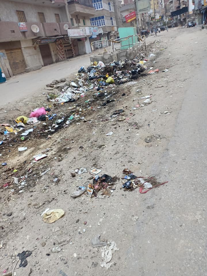 تلال القمامة بشوارع المحلة وعلى الترع (5)