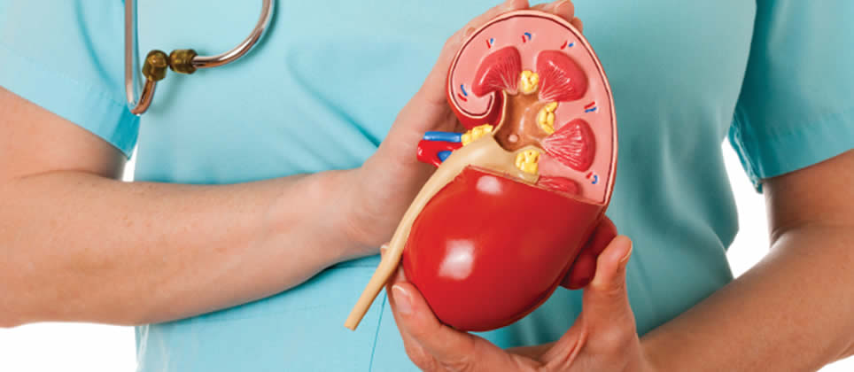 kidney-health-img