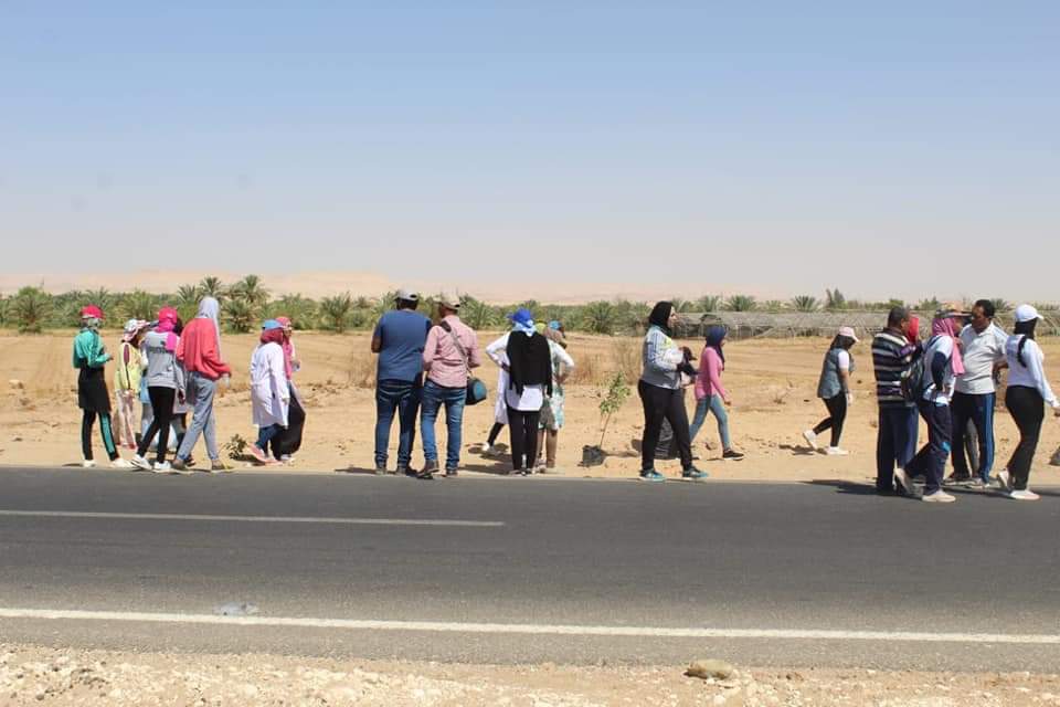 طلاب جامعة الوادي الجديد ينظمون معسكر خدمة عامة لتطوير قرى الشركة بالخارجه  (11)