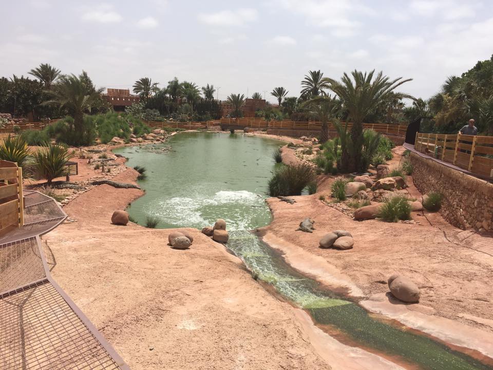حديقة التماسيح فى المغرب