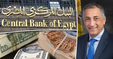 طارق عامر والبنك المركزى المصرى
