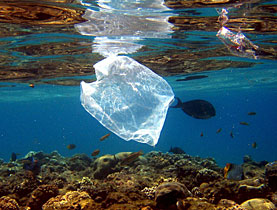 الشنط البلاستيك واضراره على البيئة (6)