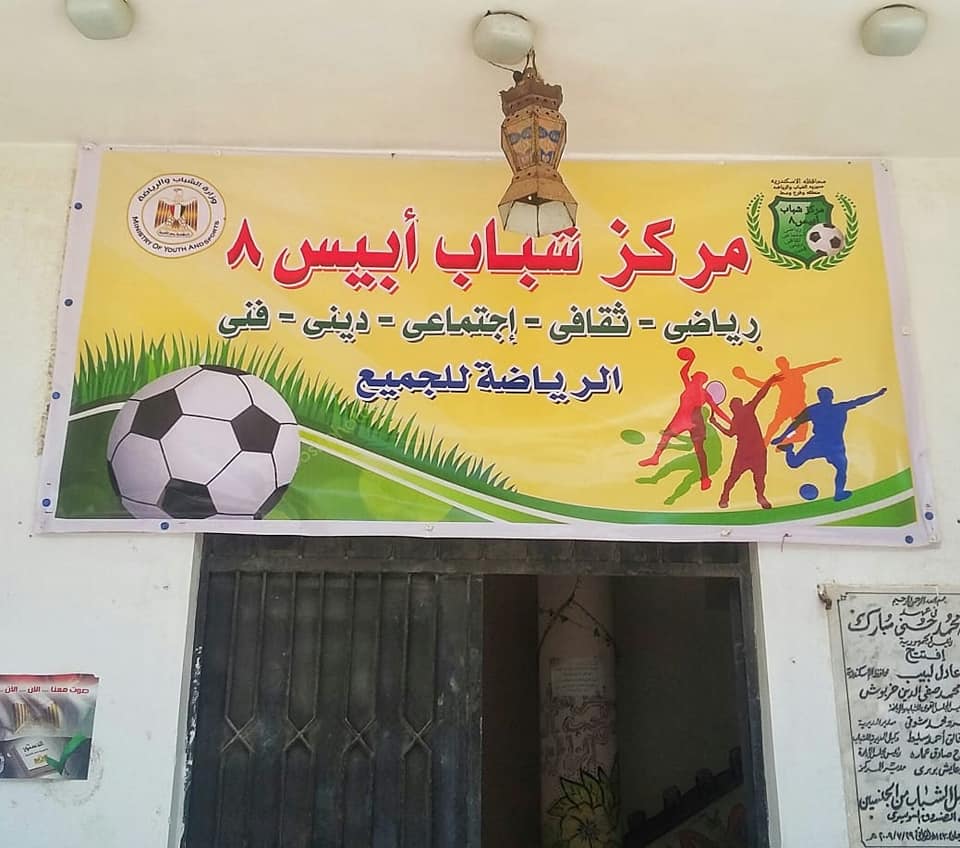 مراكز شباب الإسكندرية تتزين بالأعلام  (4)