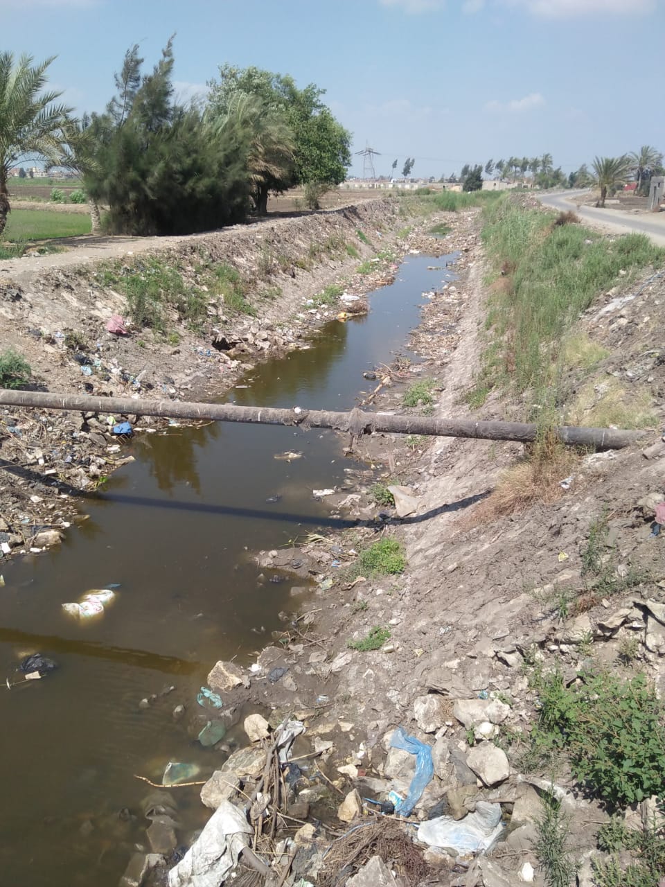 جفاف الأراضى الزراعية لنقص مياه الرى بقرية الصوفية (1)