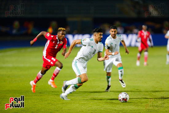 مباراة الجزائر وكينيا  (3)