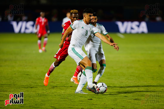 مباراة الجزائر وكينيا  (4)