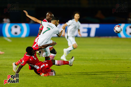 مباراة الجزائر وكينيا  (28)