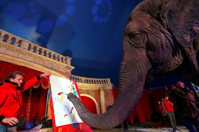 فيل يتم بيع اللوحات التى يرسمها