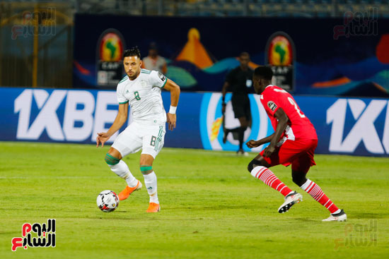 مباراة الجزائر وكينيا  (29)