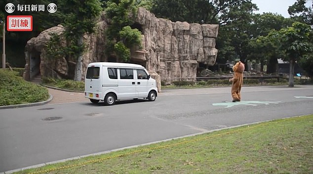 ماذا يفعل حراس حديقة حيوان فى اليابان عند هروب أسد (1)