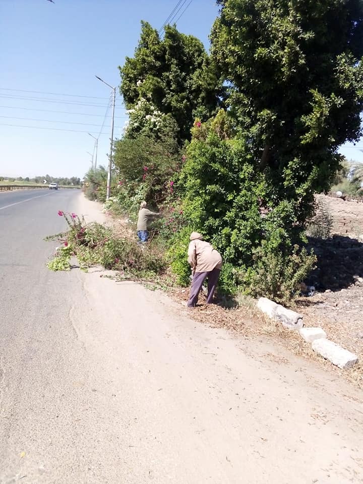 رئيس مدينة الطود يتابع رصف الطرق وأعمال النظافة والتجميل لشوارع المدينة (4)