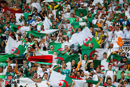 الجزائر والسنغال (17)