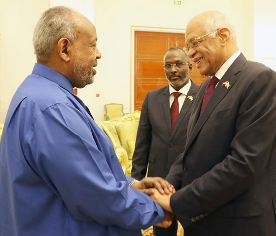 الدكتور على عبدالعال يلتقي رئيس جمهورية جيبوتي (5)