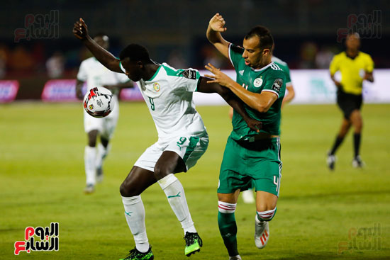 الجزائر والسنغال (6)